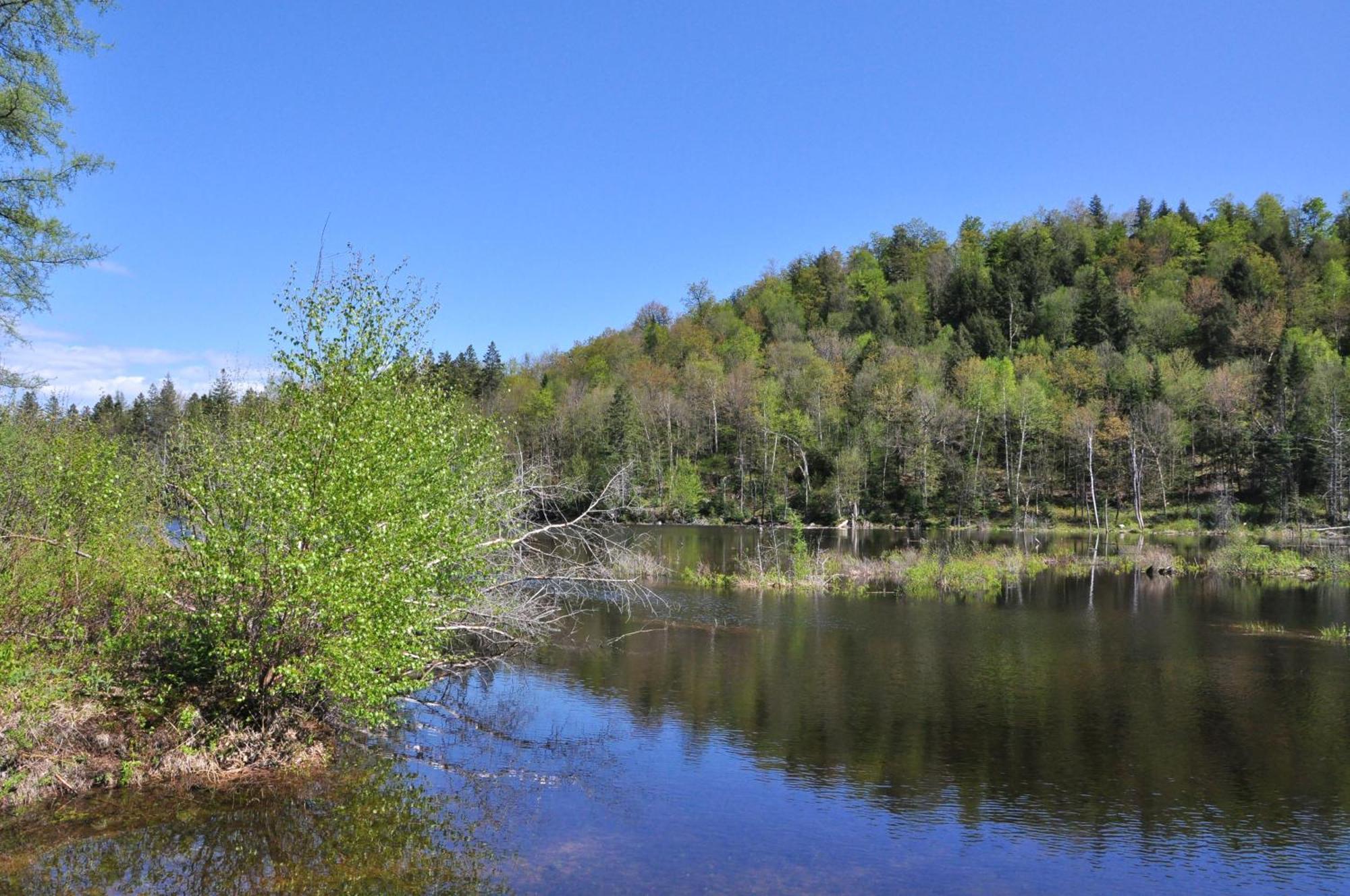 Les Du Trappeur Wentworth-Nord