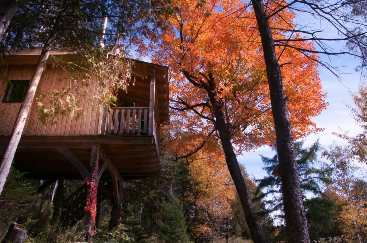 Chalet Les Du Trappeur